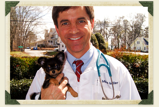 duluth veterinary services for ga pets